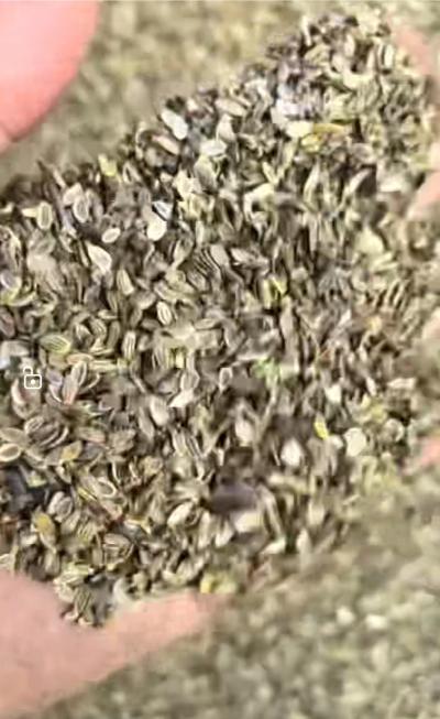 呼伦贝尔海拉尔防风