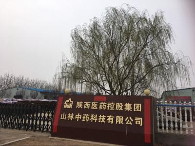 陕西医药控股集团山林中药科技有限公司