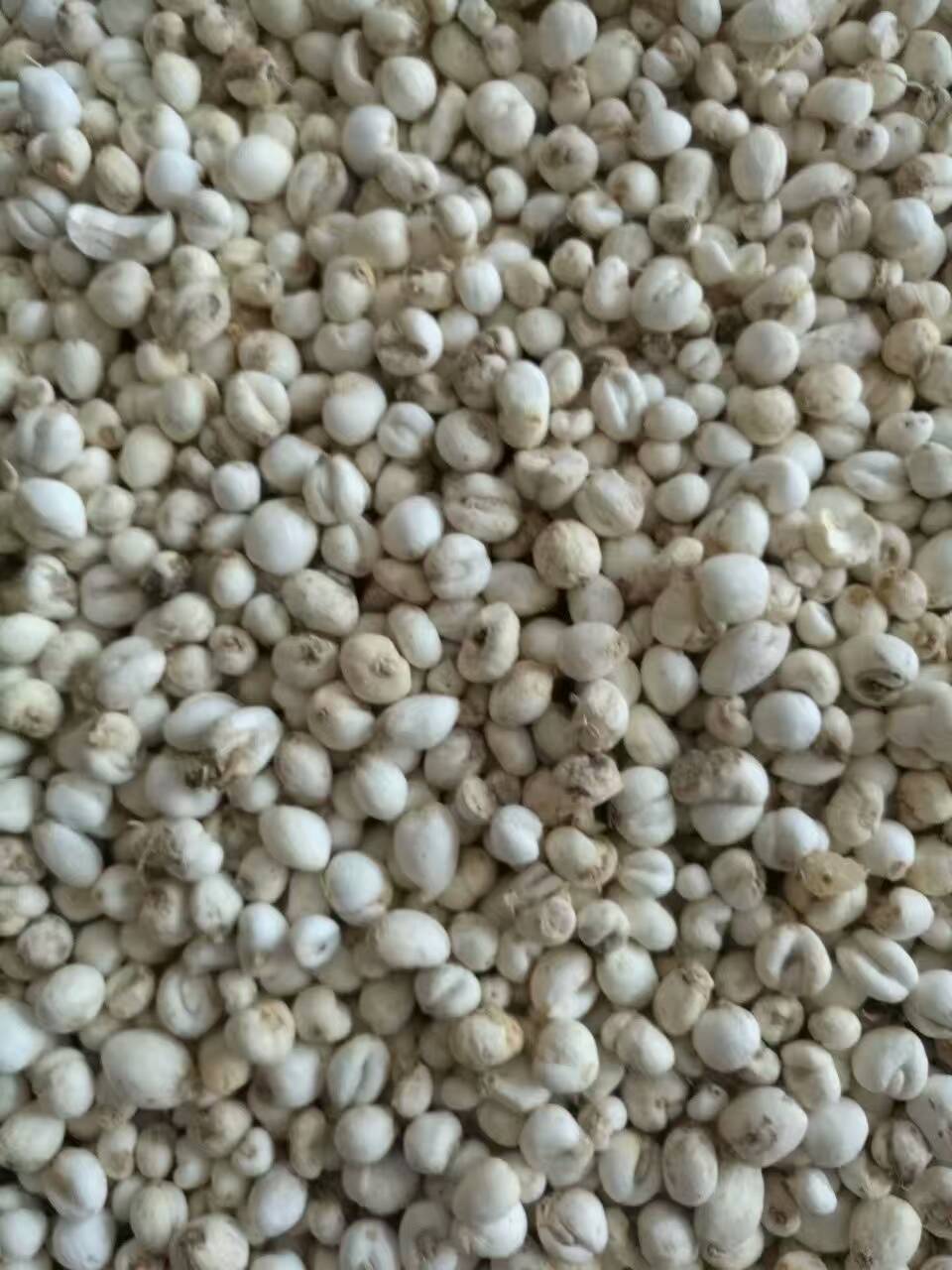 华振东