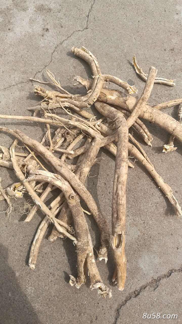 王晓飞