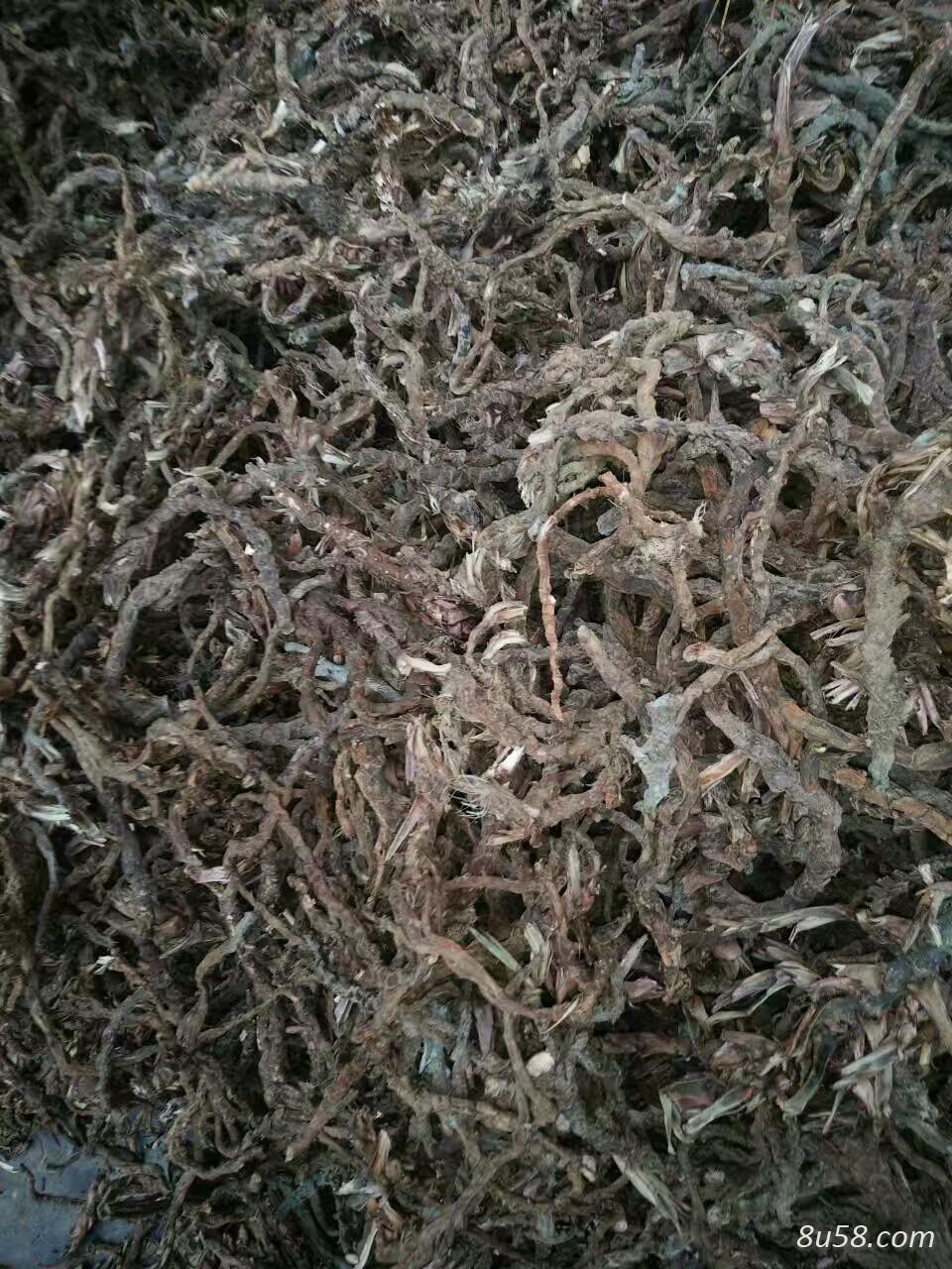 邓慧