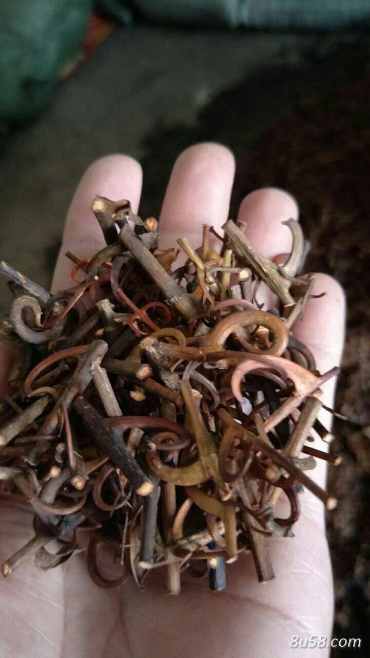 仙马种养合作社