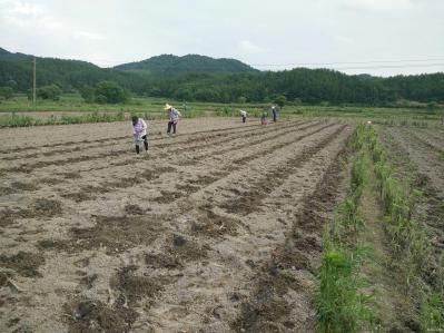 庐山市平兴农作物种植专业合作社