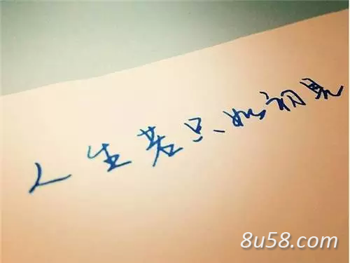沈东