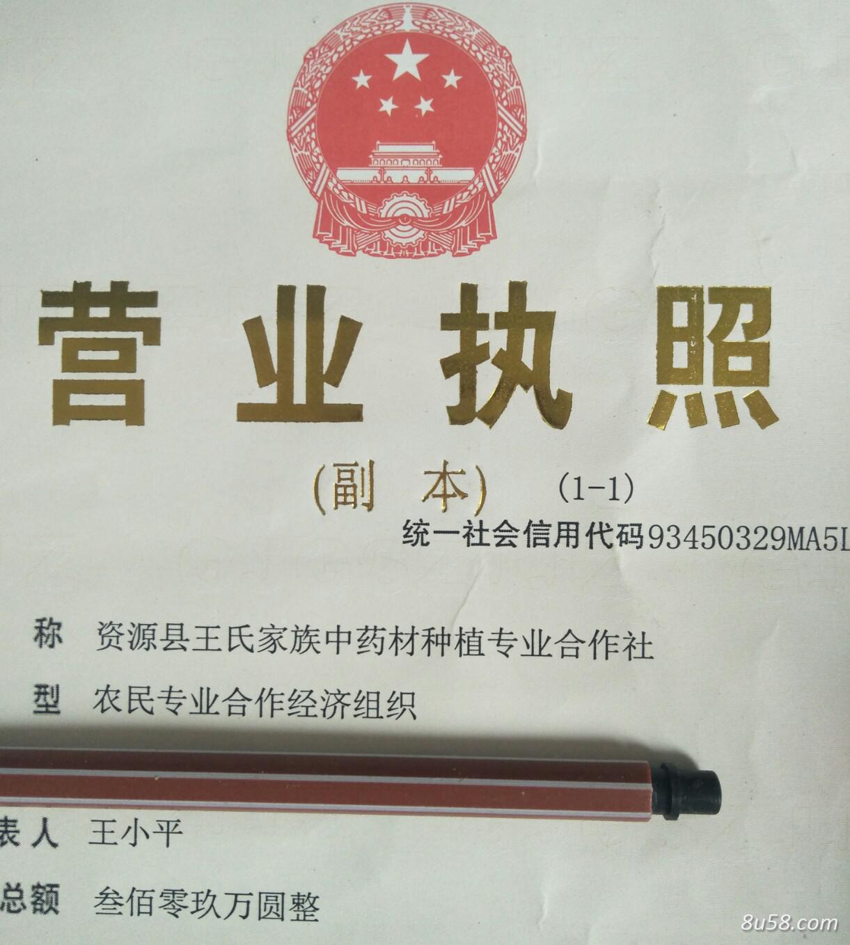 广西桂林市资源县王氏家族中药材种植专业合作社