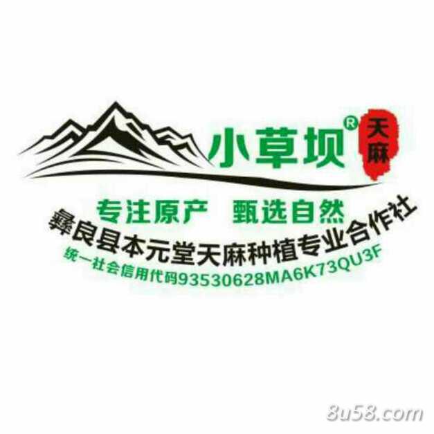 彝良县本元堂天麻种植专业合作社