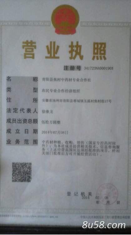 徐先生