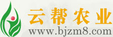 河南云帮农业科技有限公司