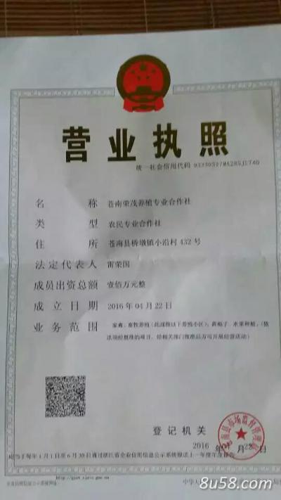 苍南荣茂养殖专业合作社