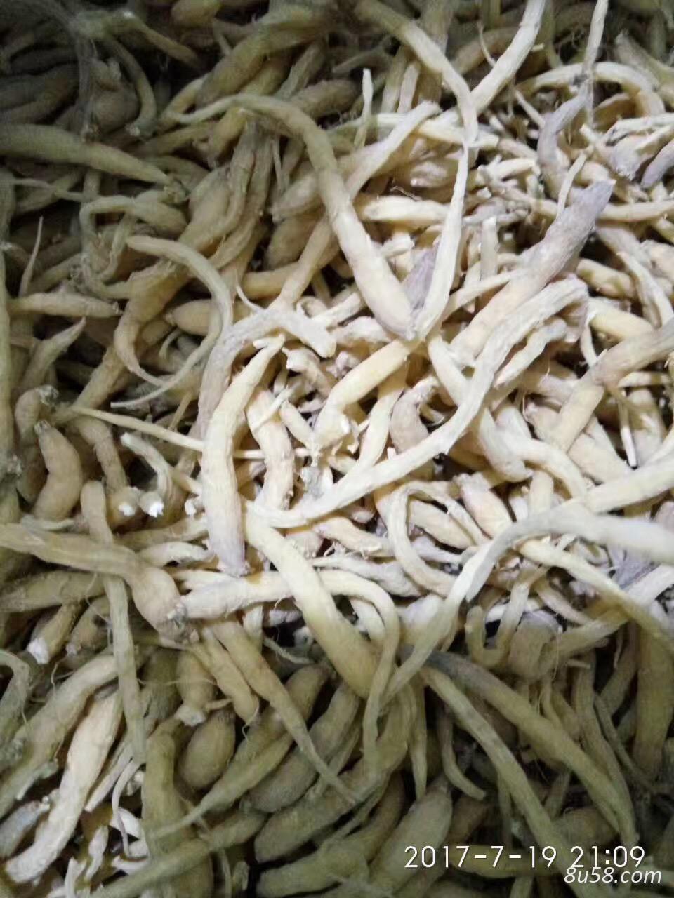 陈凤爱