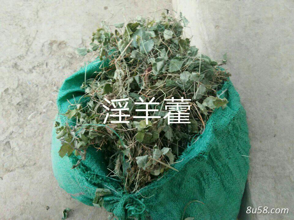 汪兵