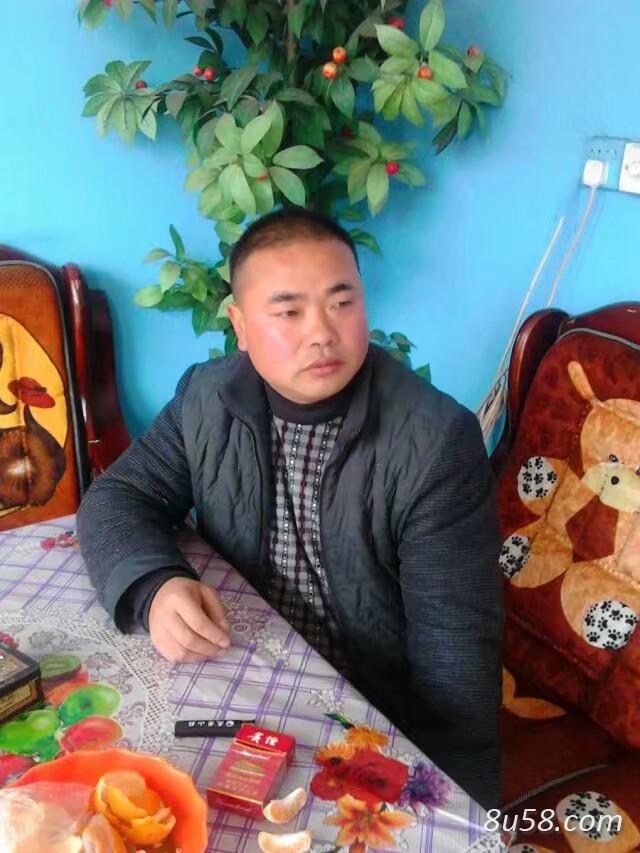 吴氏中药药材收售