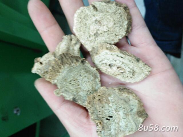 皓硕中药材有限公司