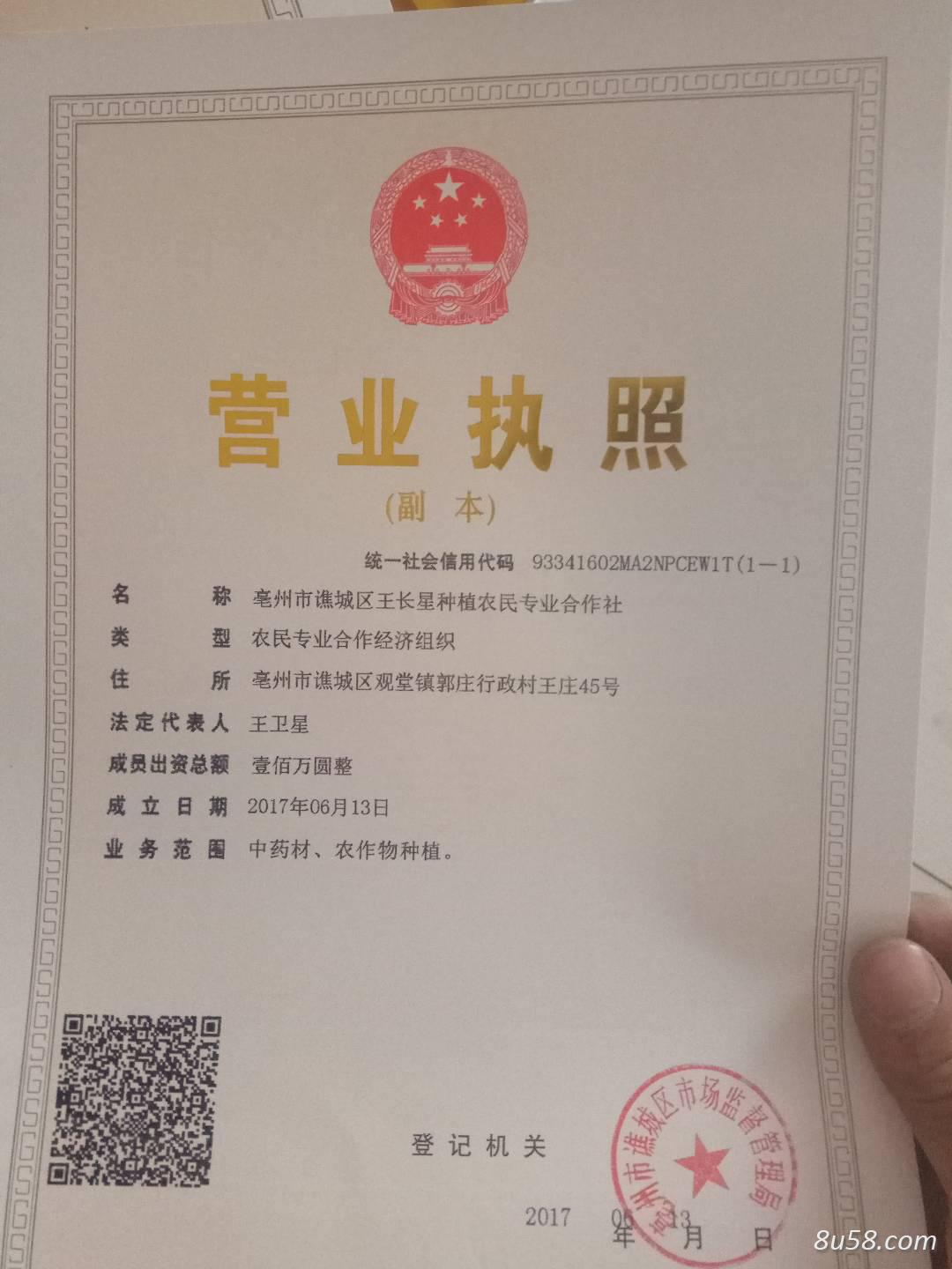 王长星中药材种植合作社