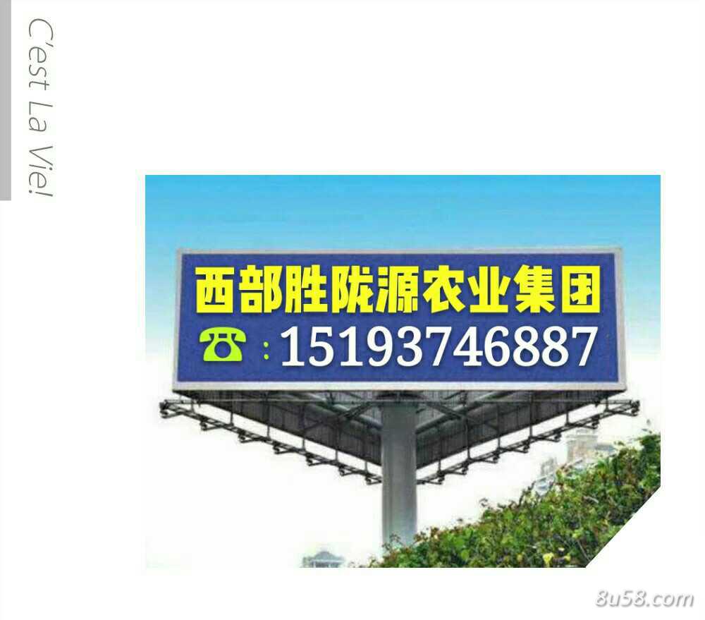 甘肃省中药材红花产业协会
