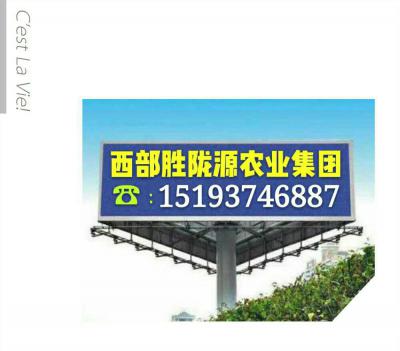 甘肃省中药材红花产业协会