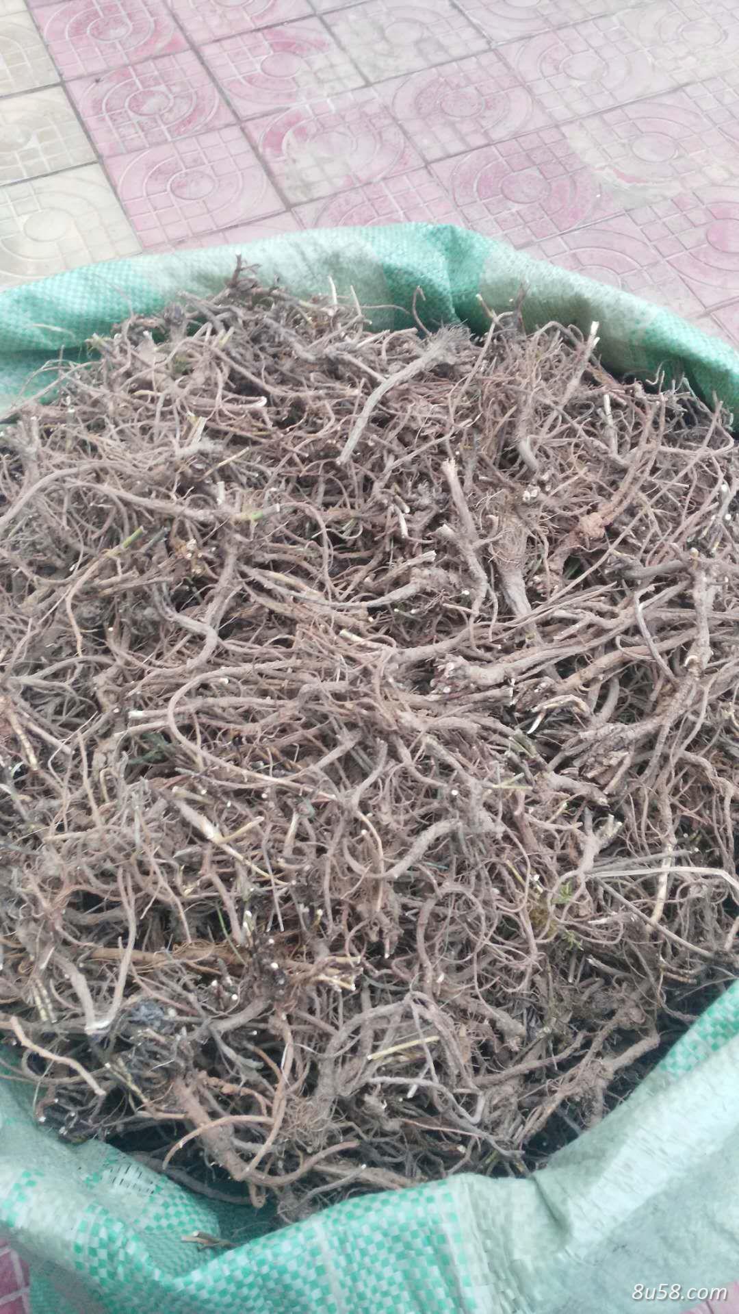 小闫