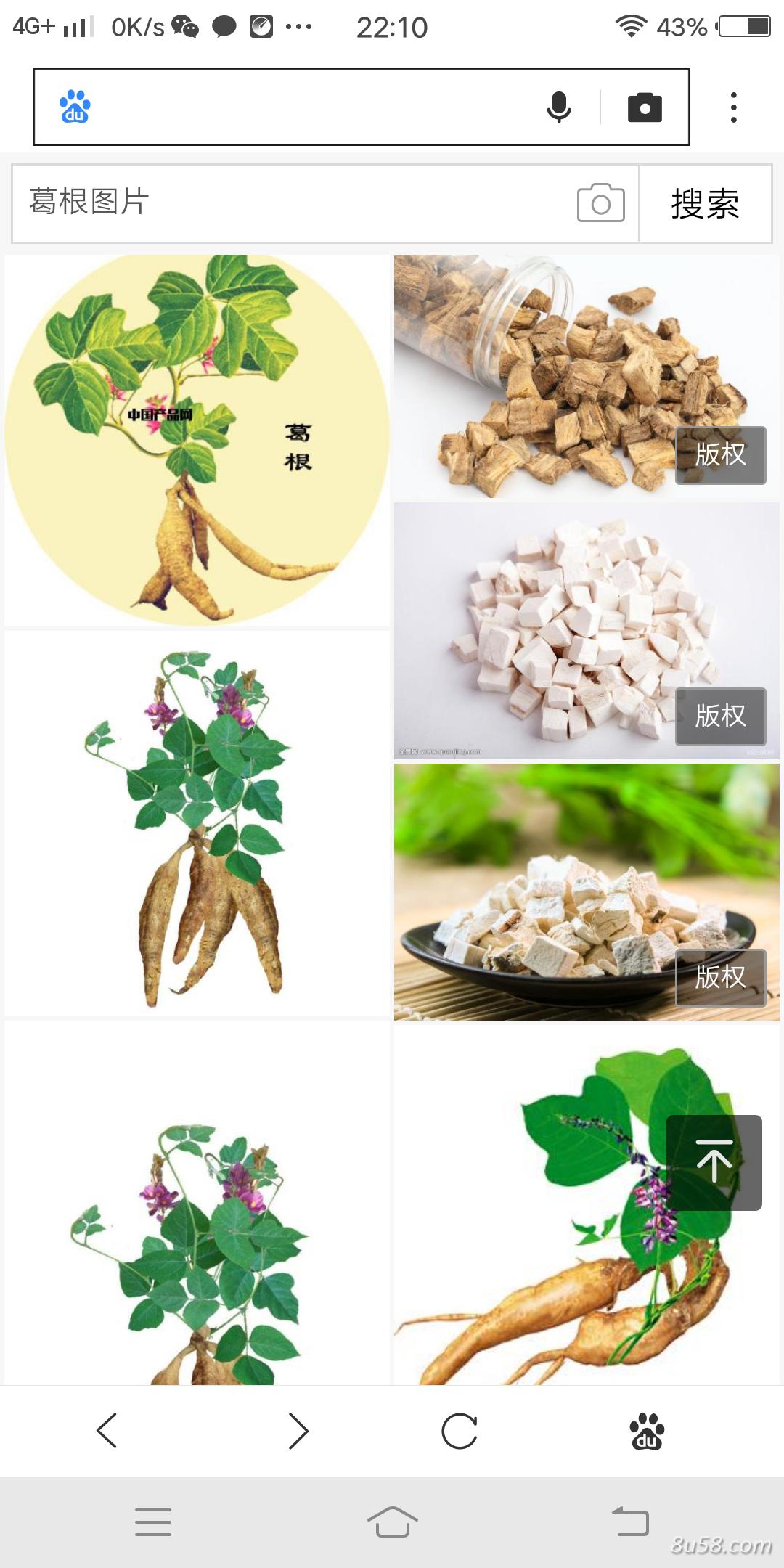 陈立夏