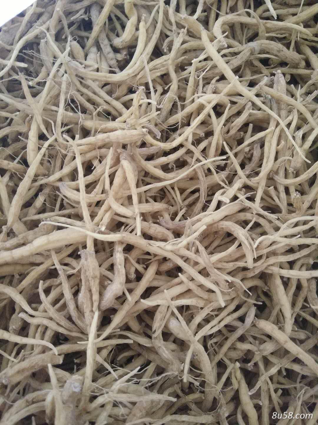 刘先生