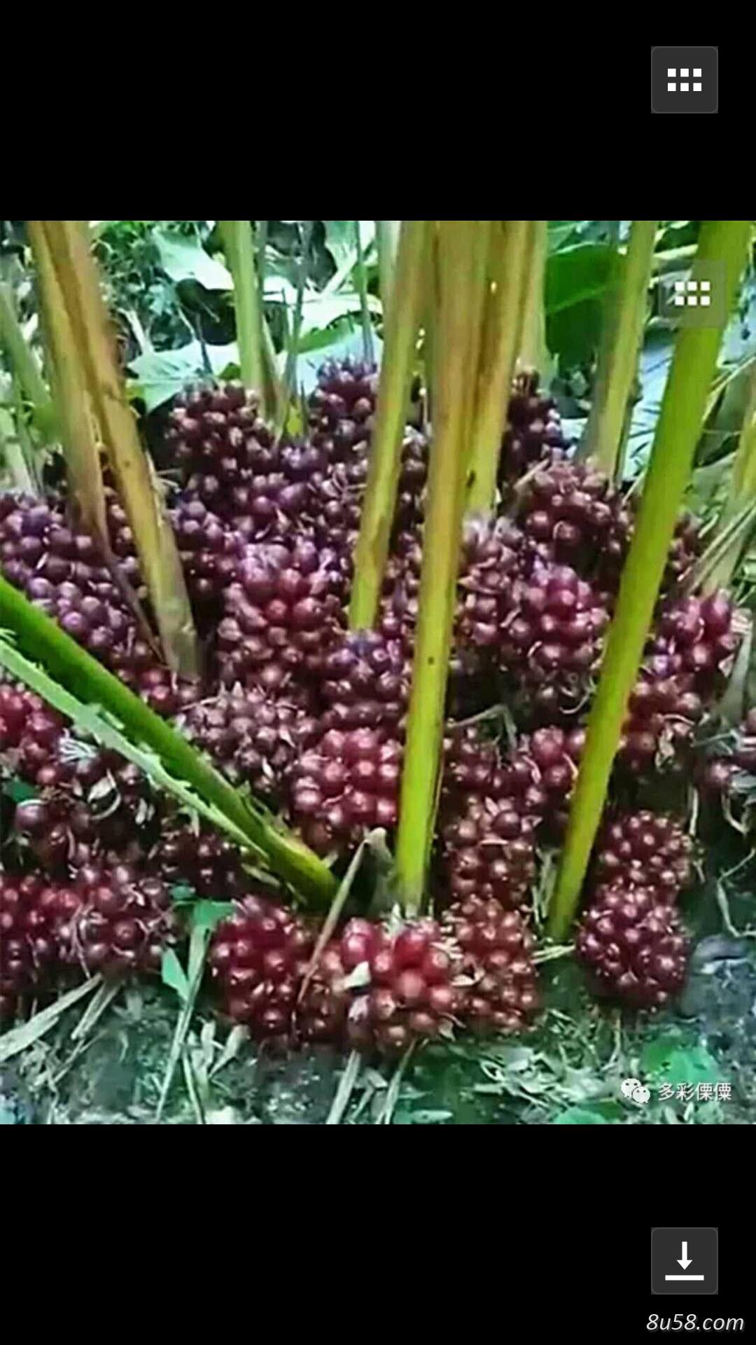 陈立江
