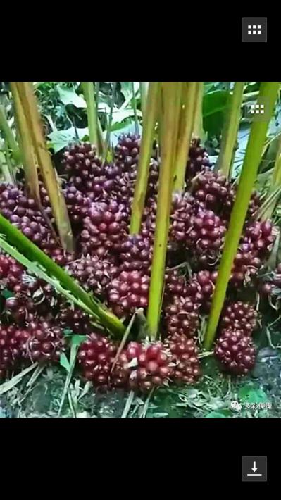 陈立江