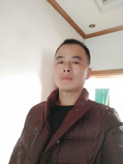 汪哥
