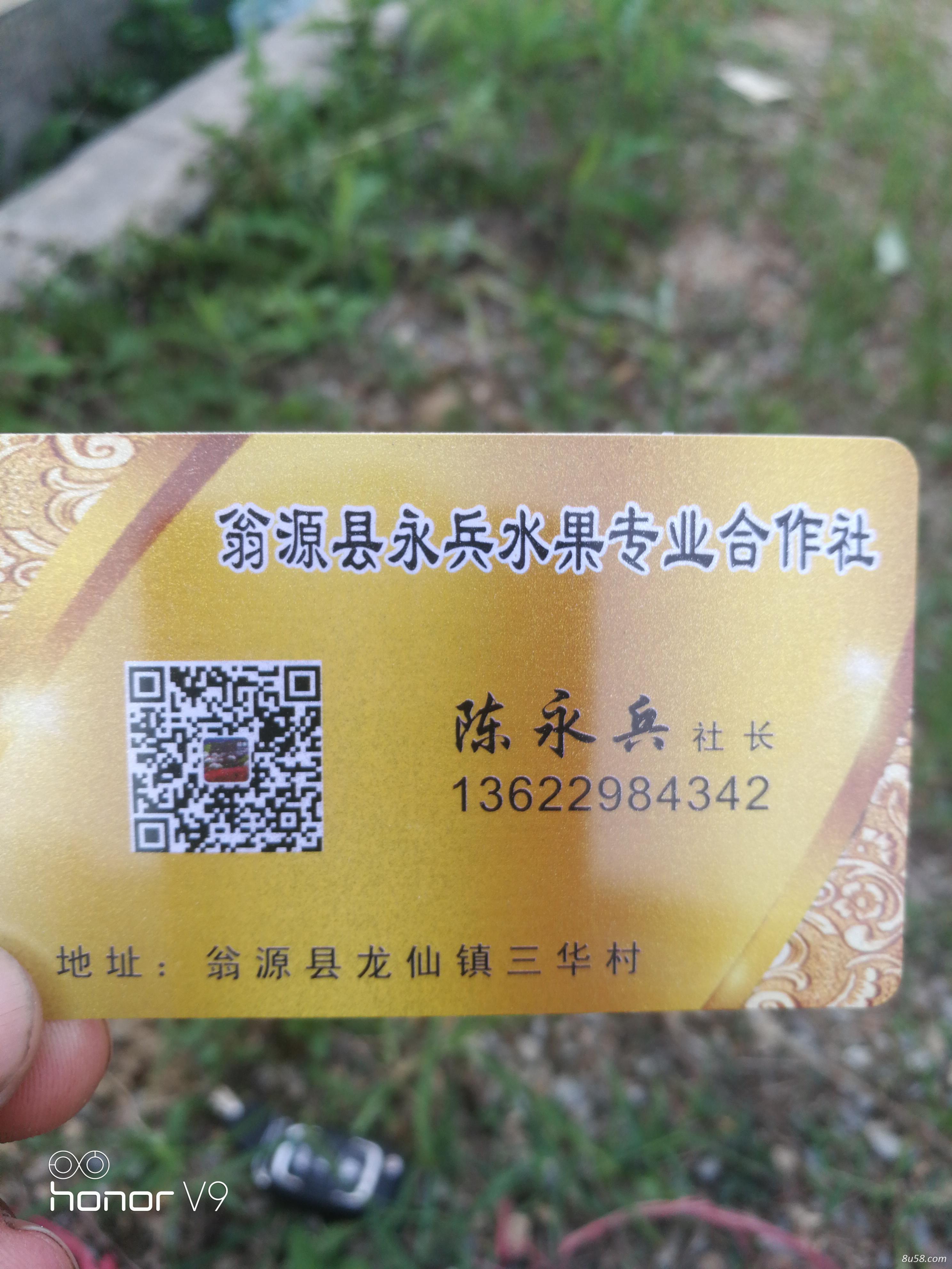 翁源县永兵水果专业合作社