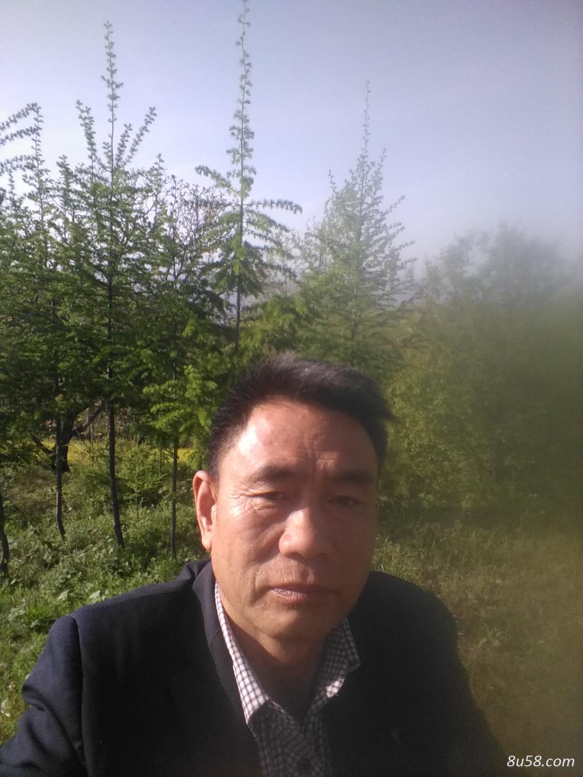 陇南市天龙养蜂合作社