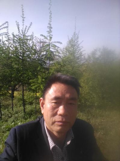 陇南市天龙养蜂合作社 陇南市天龙养蜂合作社