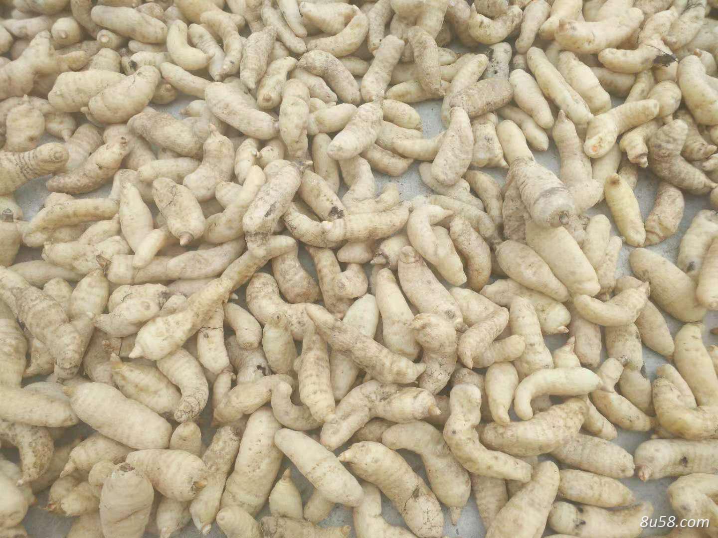 陕西省商南县乡土农产品加工专业合作社