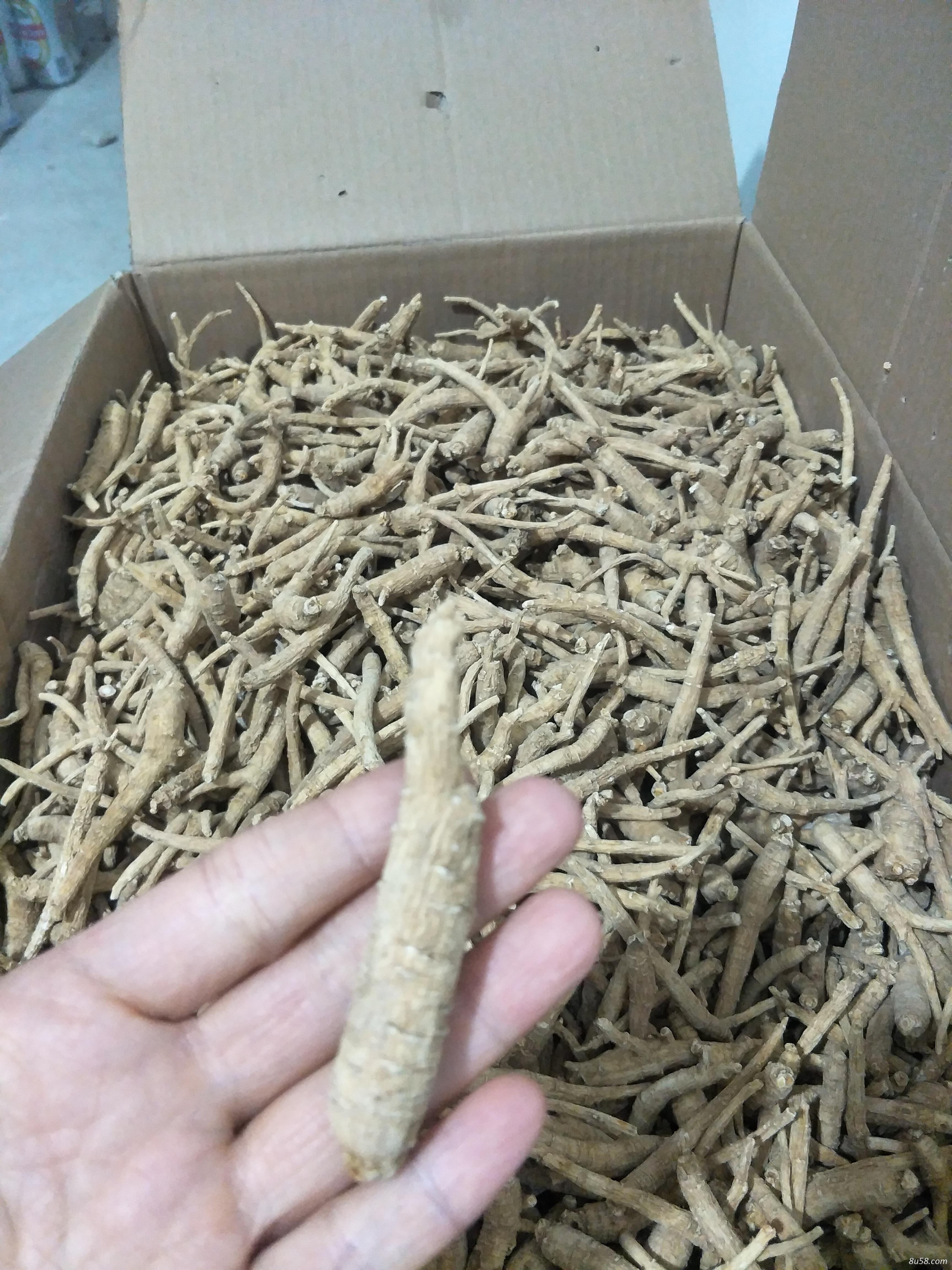 王先生