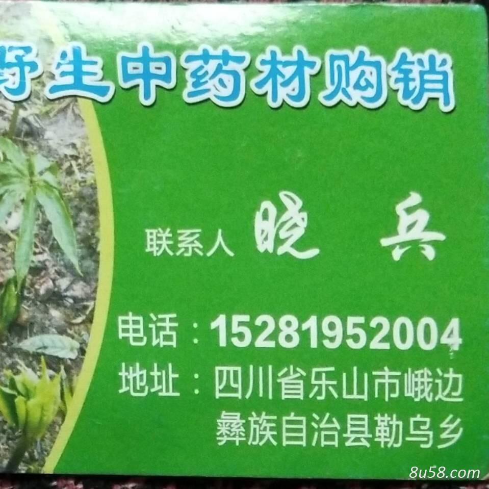 景牛小兵