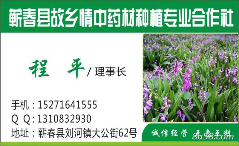 故乡情中药材种植专业合作社