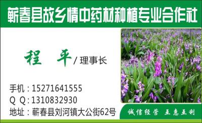 故乡情中药材种植专业合作社 故乡情中药材种植专业合作社