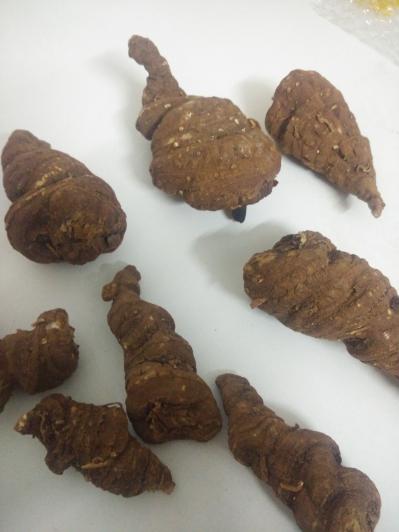 云南楚雄山区中草药种植专业合作社
