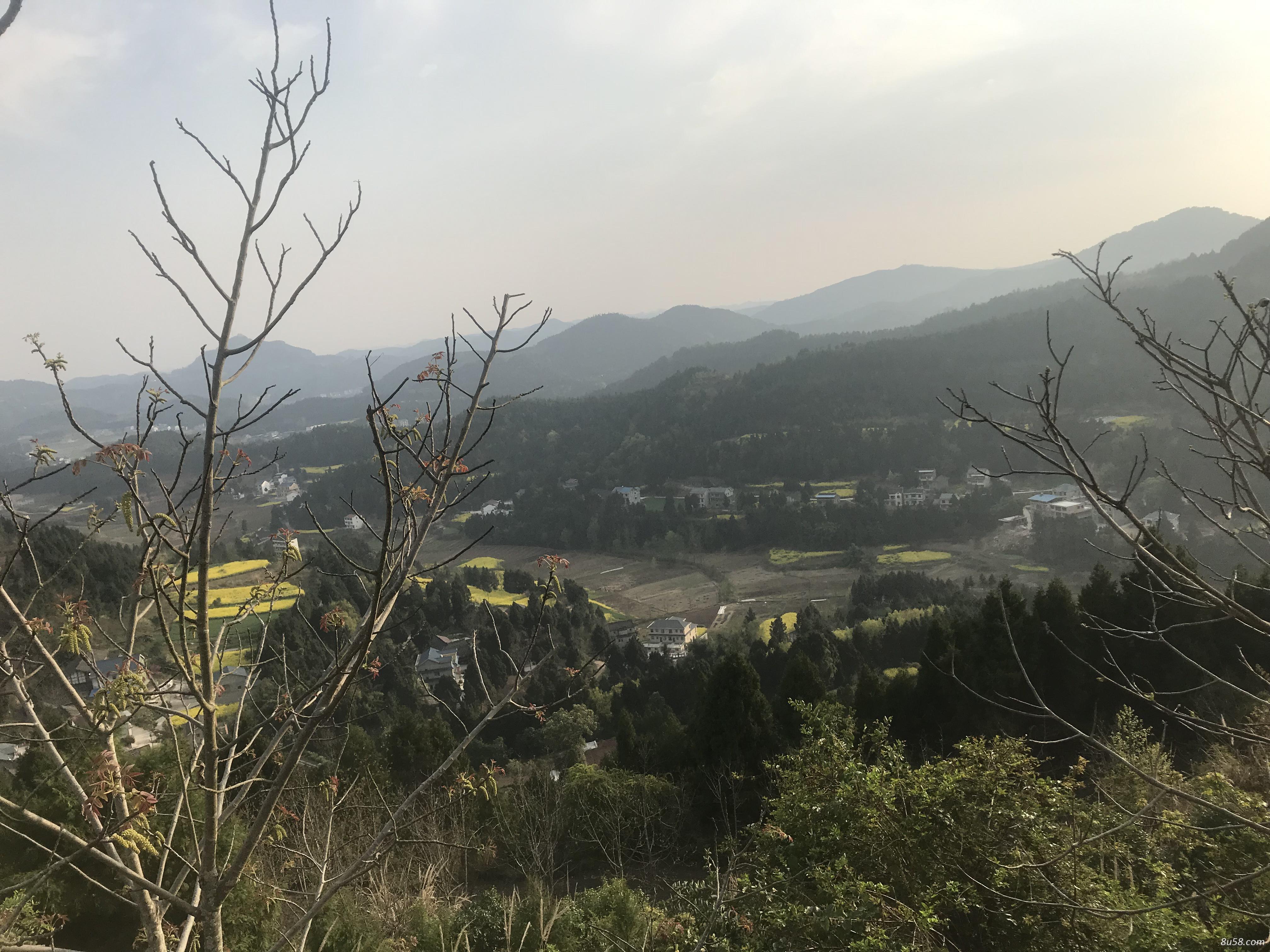 南部县汇达药材种植专业合作社