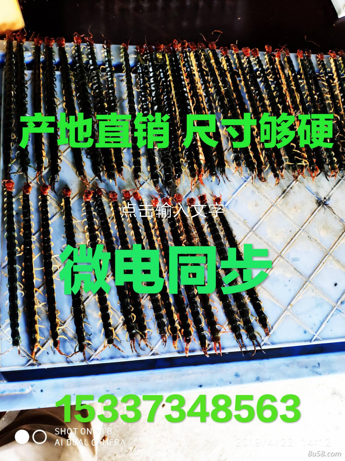牛先差