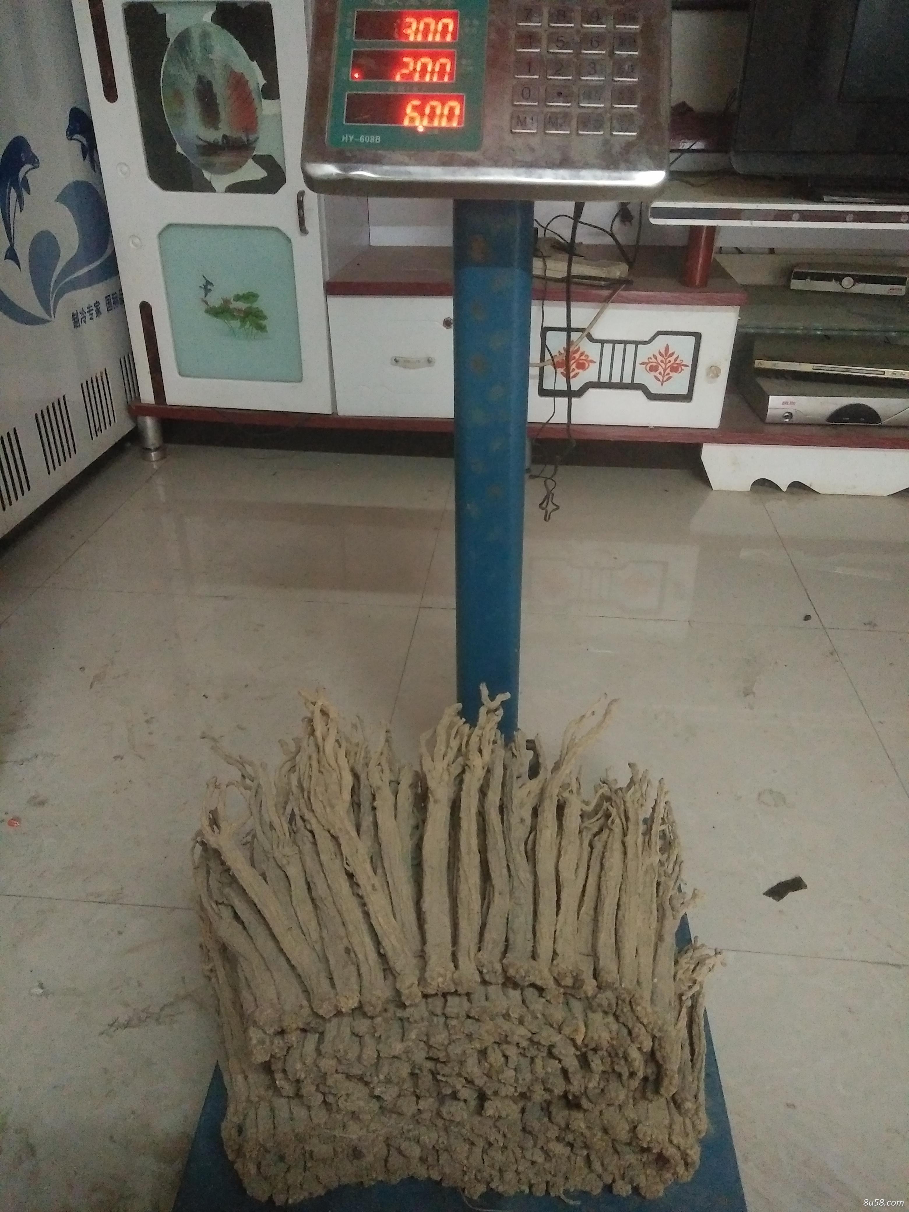 王先生