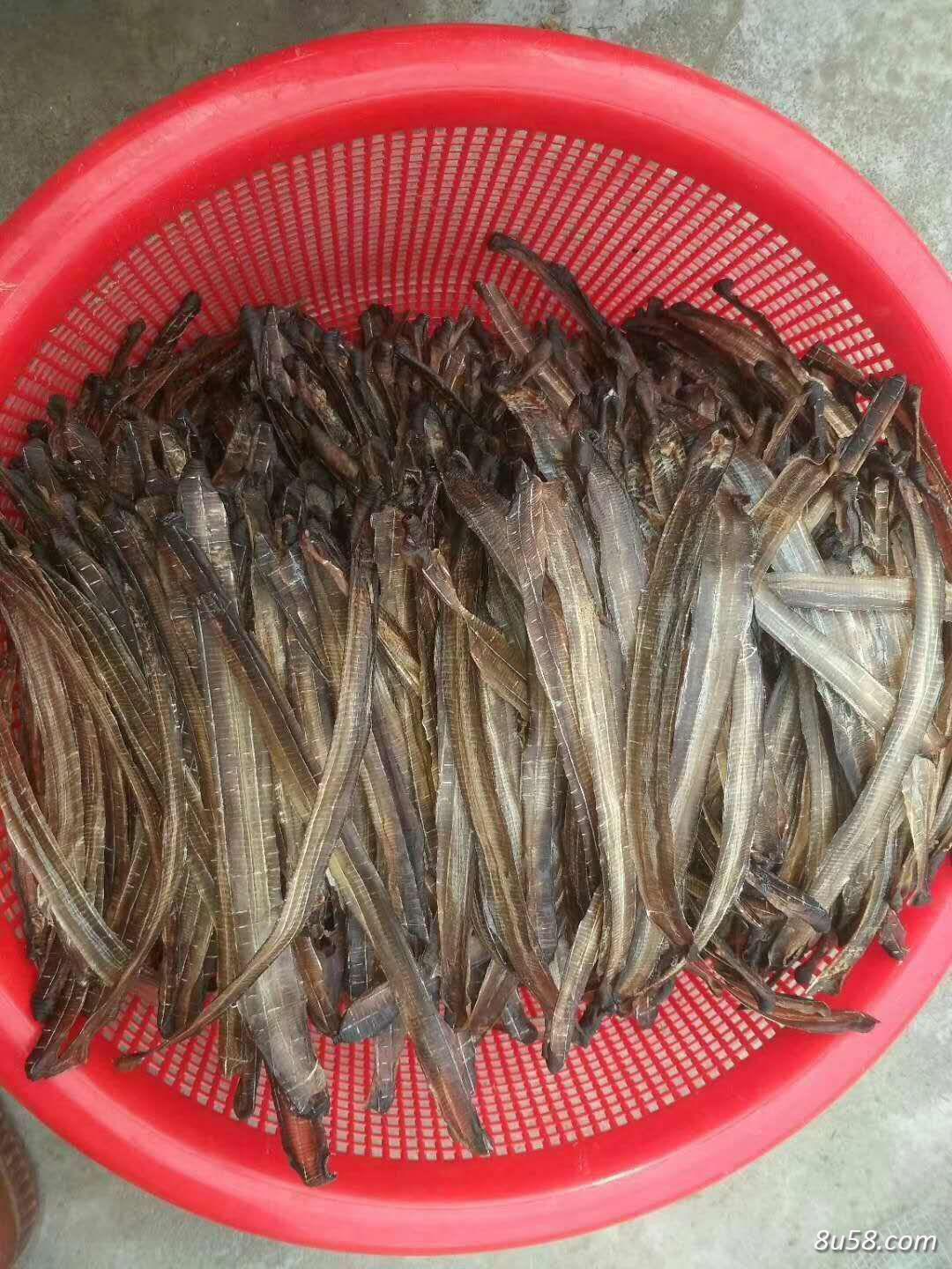 张先生