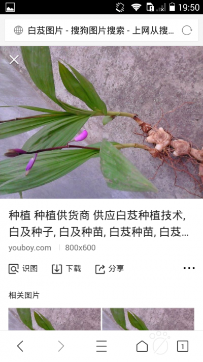 陈德友