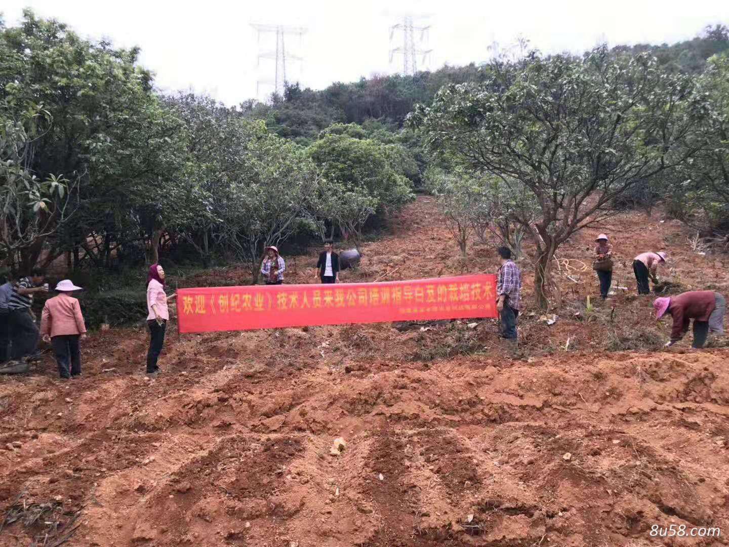 安溪创纪农业开发有限公司