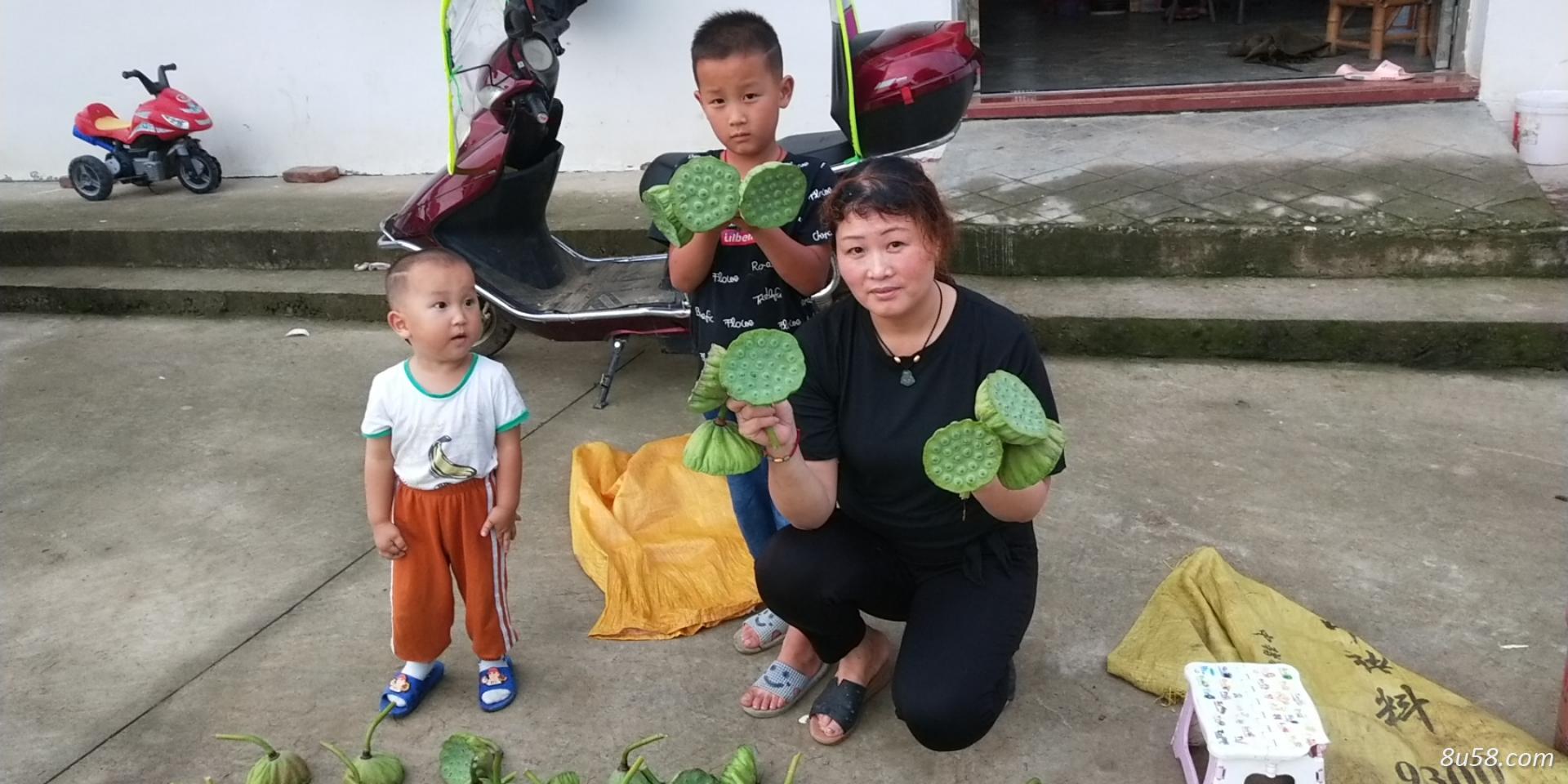 乔金华