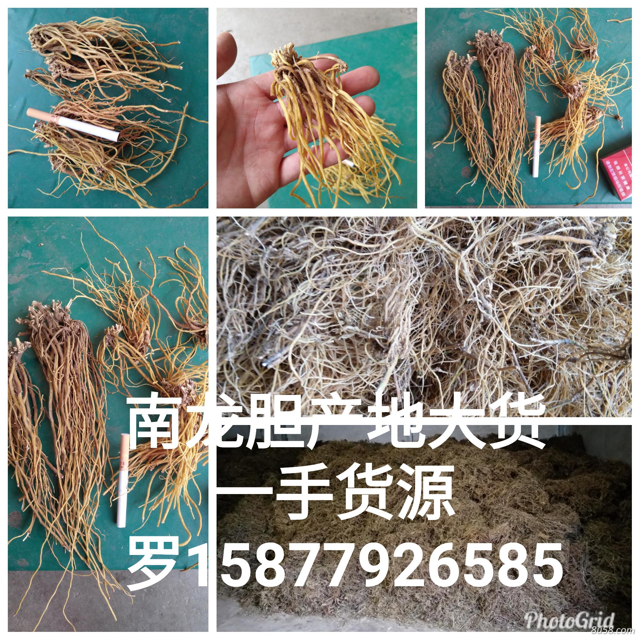南龙胆产地直销