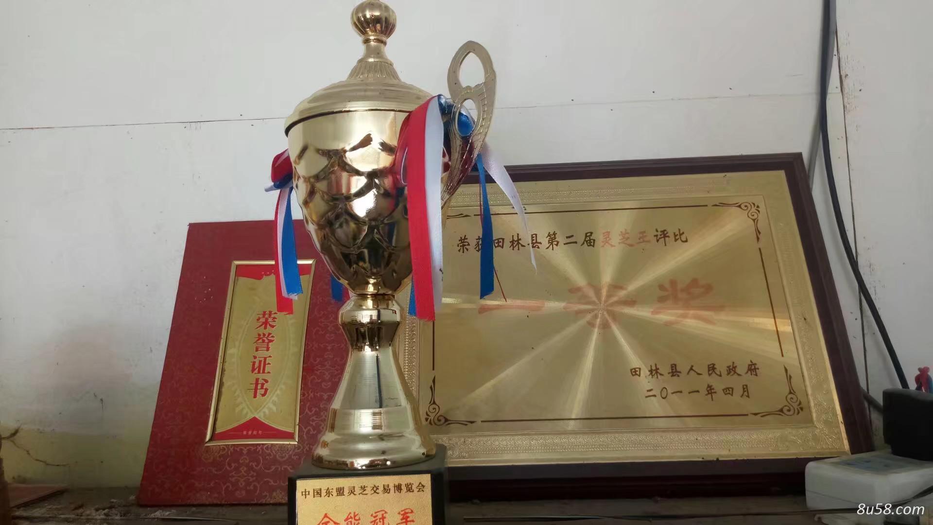 广西药材购销中心