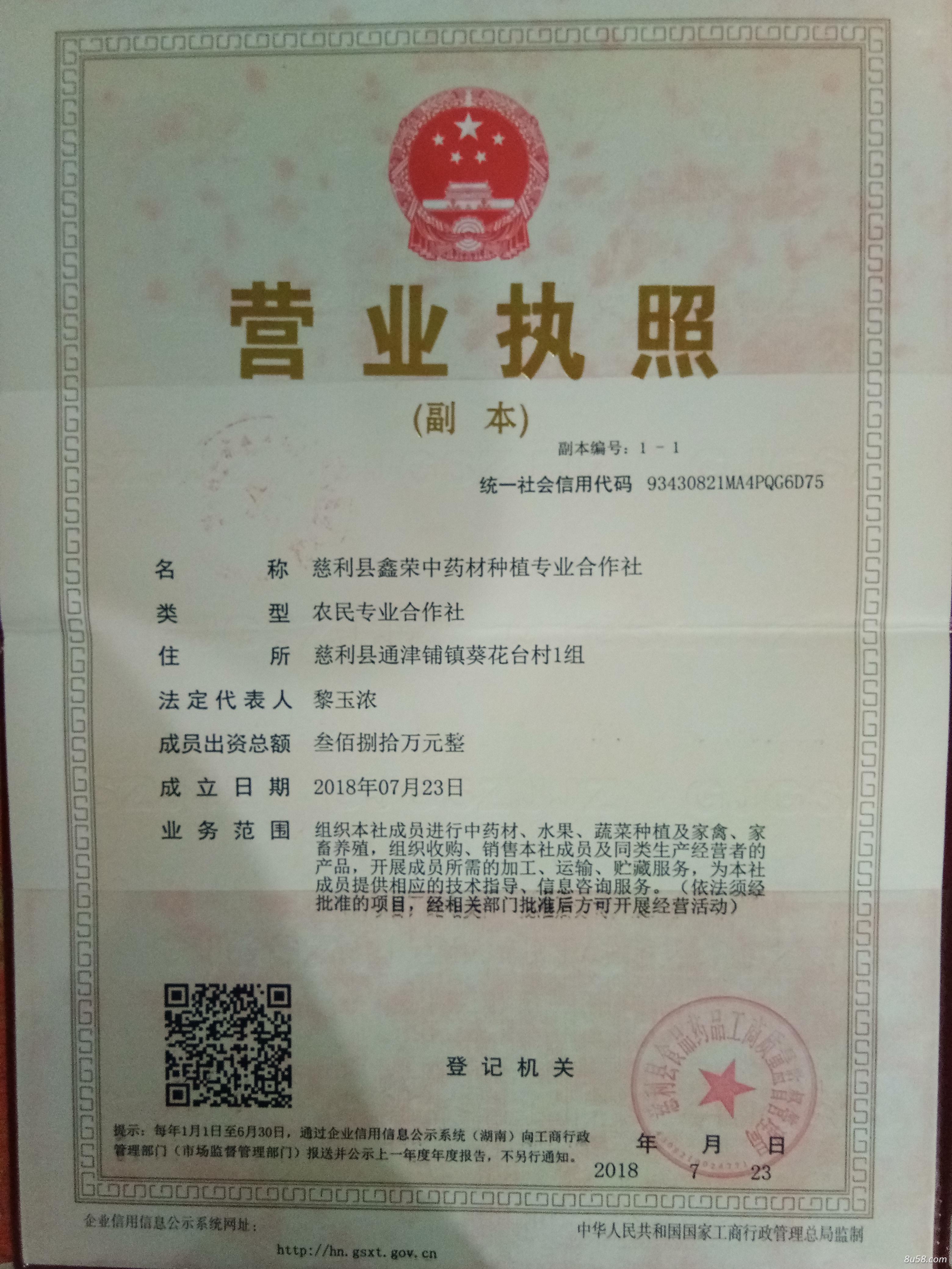 鑫荣中药材种植专业合作社
