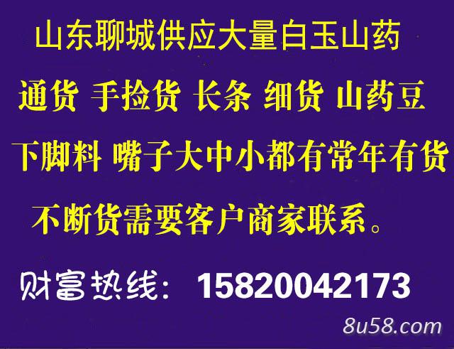 莘县景禾山药种植专业合作社