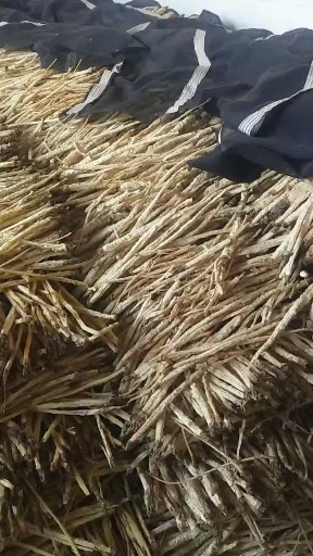王飞