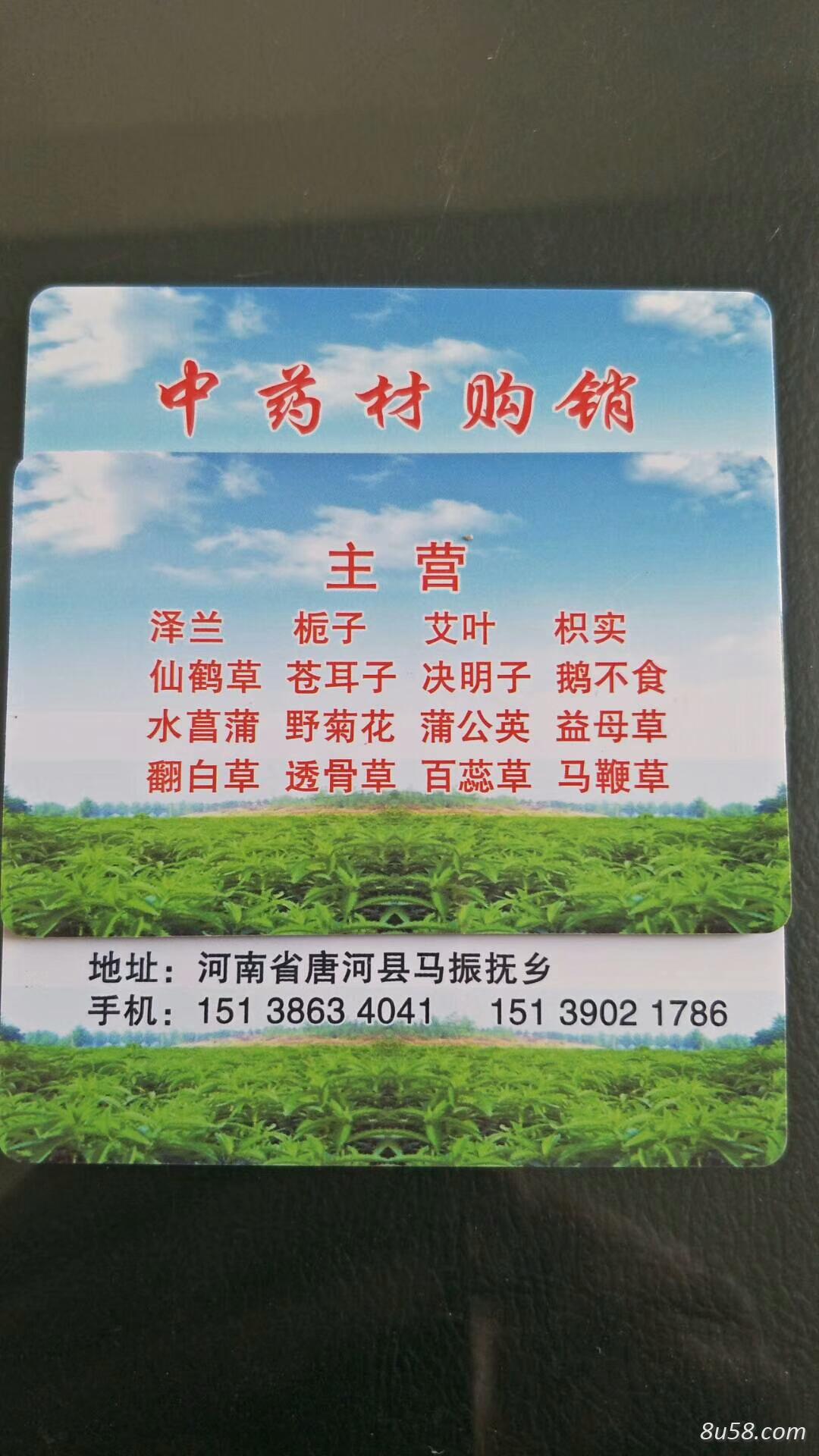 中药材购销