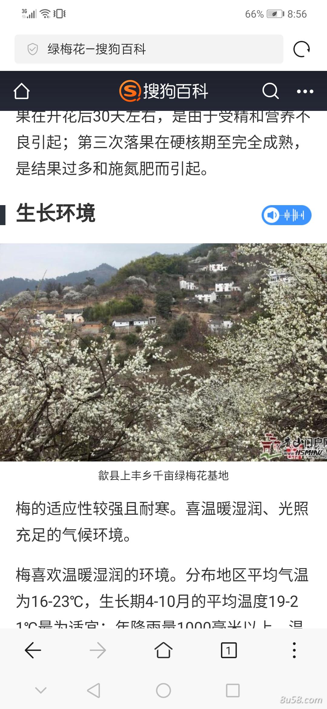 汪炜