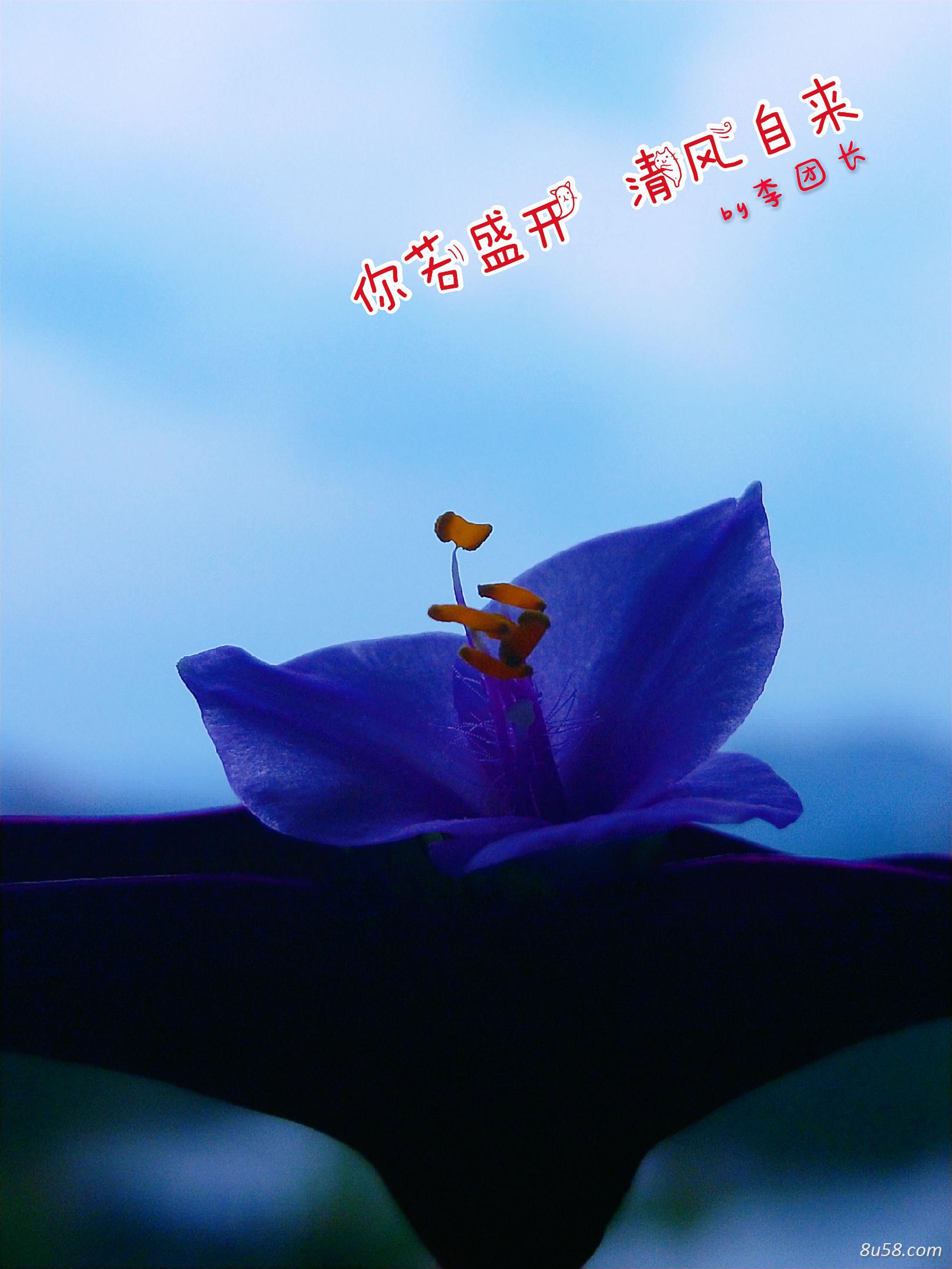 李先生